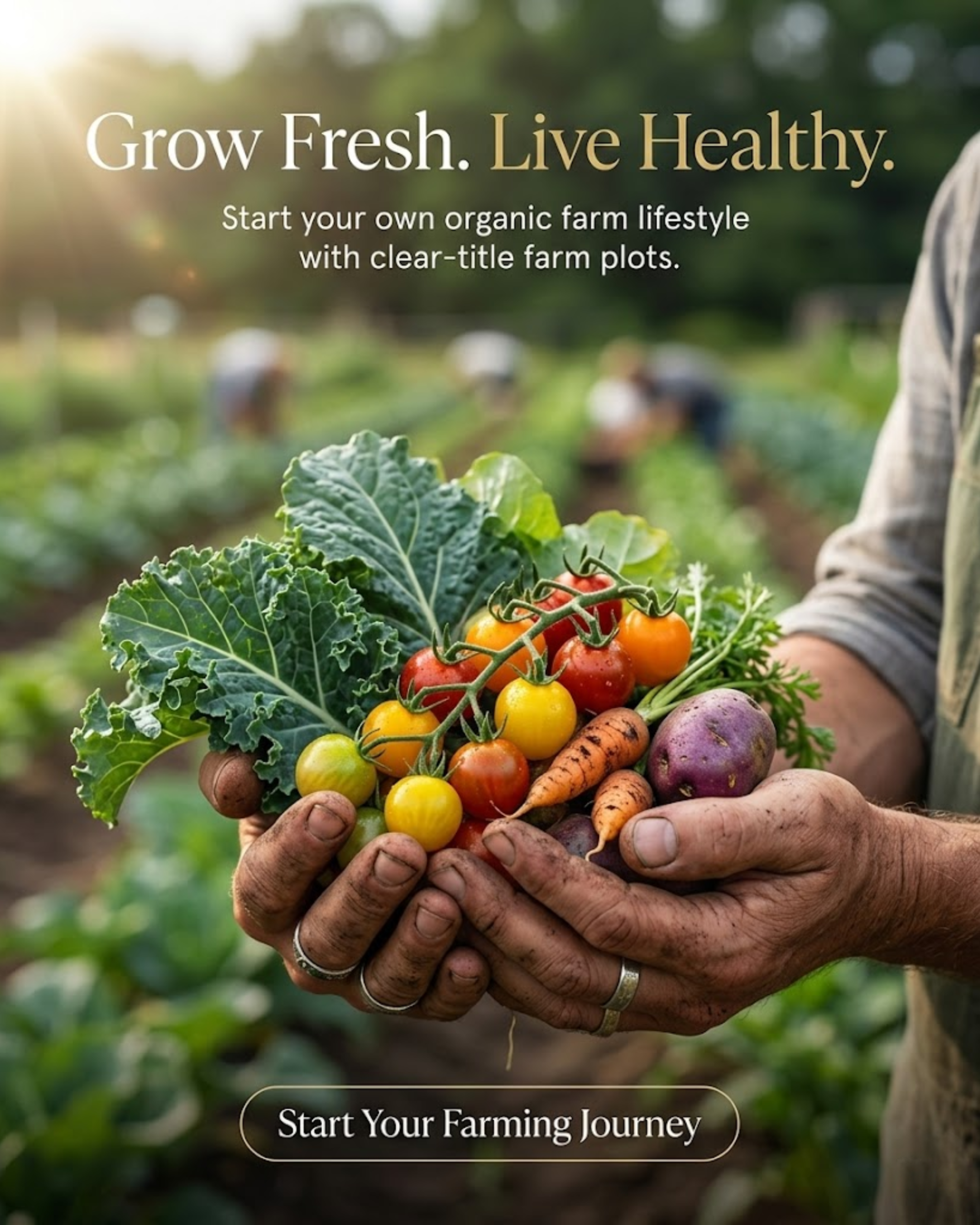 Farm plot content for farm plot social media automation